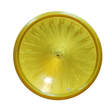 Classic H.O.T.T. COTO 174g Sublime Profit Putt & Approach - 1st Run - TJM0343